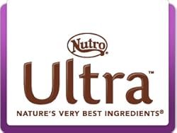 Insert Alt Text here