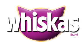 Insert Alt Text here