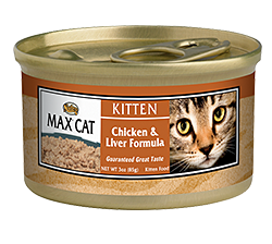 Insert Alt Text here