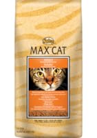 Insert Alt Text here