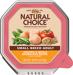 Insert Alt Text here