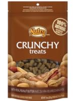 Insert Alt Text here