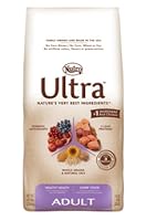 Insert Alt Text here