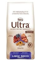 Insert Alt Text here