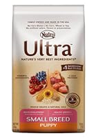 Insert Alt Text here