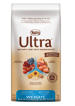 Insert Alt Text here