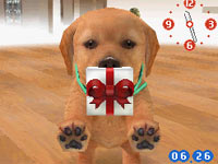 Puppy with a gift for you in Nintendogs Chihuahua&Friends