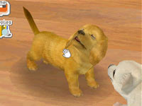 Petting a dog using a stylus in Nintendogs Chihuahua&Friends