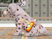 Brushing your dog in Nintendogs Dalmatian&Friends