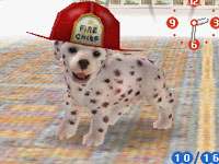 Dalmatian with firemans helmetin Nintendogs Dalmatian&Friends