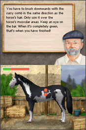 Dreamer Series: Horse Trainer