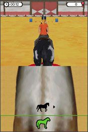 Dreamer Series: Horse Trainer