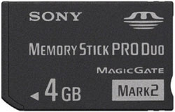 A 4GB PRO Duo memory card included with the PlayStation Portable Limited Edition Rock Band Unplugged Entertainment Pack A 4GB PRO Duo memory card included with the PlayStation Portable Limited Edition Rock Band Unplugged Entertainment Pack