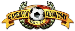 Academy of Champions