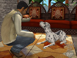 Dog training in The Sims 2 Pets 
Expansion Pack