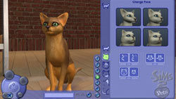Customizing the appearance of a cat in The Sims 2
 Pets Expansion Pack