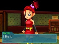 Continues the exciting storyline of the original Blue Dragon plot