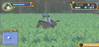 Grow and cultivate crops