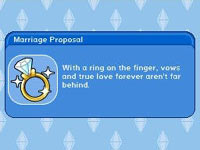 Attitudes toward marriage in The Sims 3 for DS
