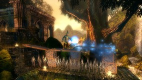 Trine
