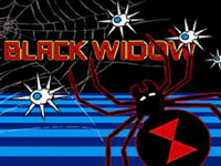 The Black Widow game load screen from Atari's Greatest Hits Vol. 2 for DS