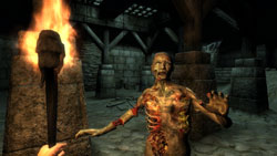 Zombie creature from 'The Elder Scrolls IV: Oblivion'