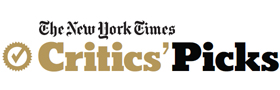 New Your Times Holiday 2008 Critic's Pick for Video Games