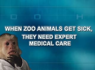 Click to watch this video