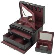 Wolf Designs Women's Queen's Court Collection Medium Black Jewel Case #356861