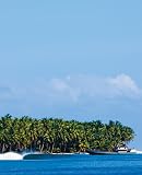 Visit Amazon's Reef Store