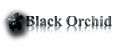 Black Orchid