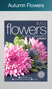 View Autumn Flowers E-Catalogue