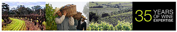 M&S Wine Direct - 35 Years of Wine Expertise
