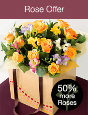 View Rose Offer