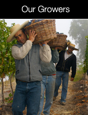 View Our Growers