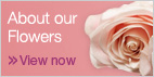 View about our flowers
