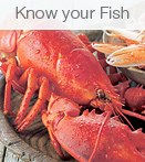 View Know your Fish