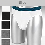 View Slips