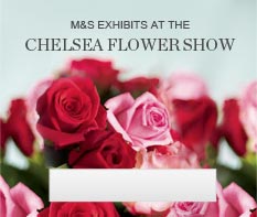 Chelease Flower Show