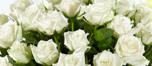 Flowers - More of a good thing