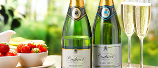 Wine - Award-winning champagnes