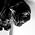 Thumbnail image of Christopher J F Gibson