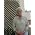 Thumbnail image of Margaret Scotford Archer