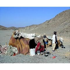 Desert Rats: Rock Art Topographical Survey of Egypt's Eastern Desert (BSS occasional publications)