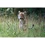 Canon EOS 400D Digital SLR Camera (incl. EF-S 18-5&hellip by Canon