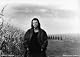 David Foster Wallace