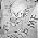 Thumbnail image of Andrew Barrett