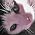 Thumbnail image of Christopher J F Gibson