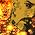 Thumbnail image of Jim McCarthy
