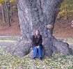 Susan J. McLeod